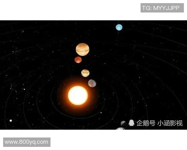 约基奇背后的故事：从少年到巨星之路